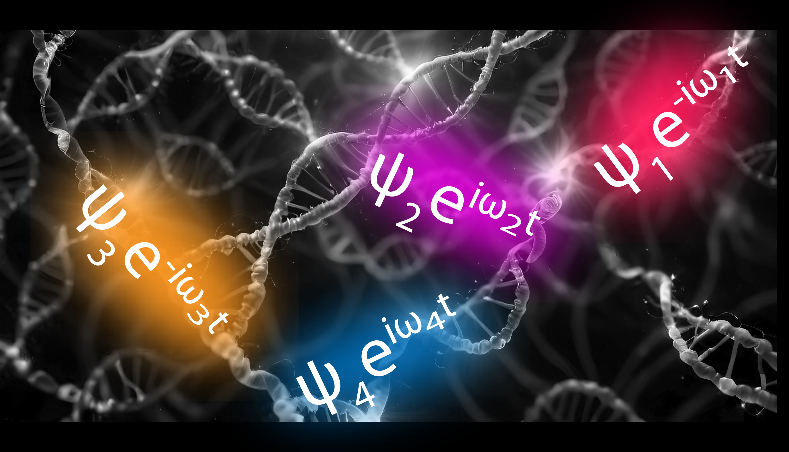 Cluster of excitations on DNA